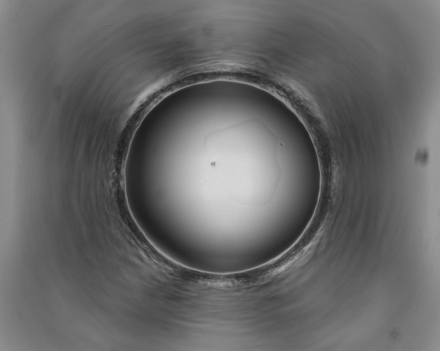 X0000090871210200708171618