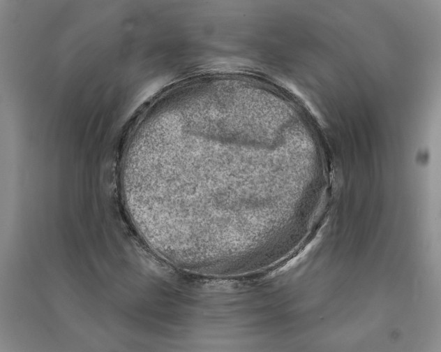 X0000090871211200708171618