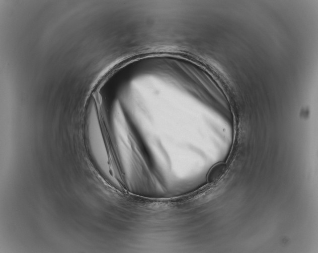 X0000090871212200708171618