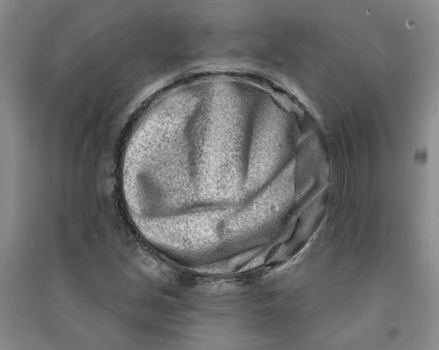 X0000090871213200708171618