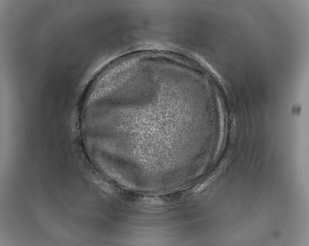 X0000090871215200708171618