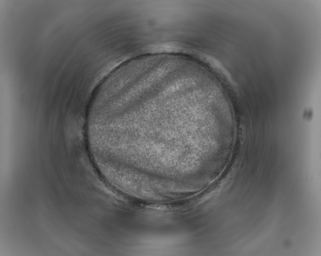 X0000090871217200708171618