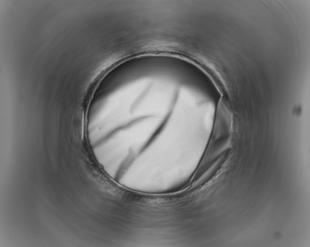 X0000090871219200708171618