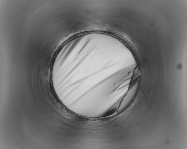 X0000090871220200708171618