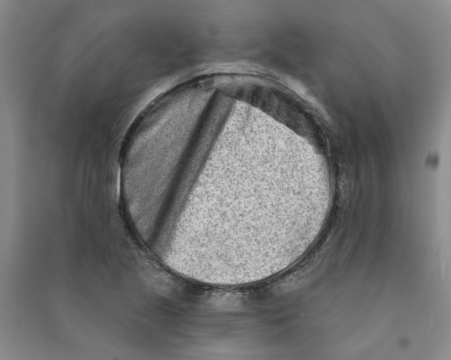 X0000090871221200708171619