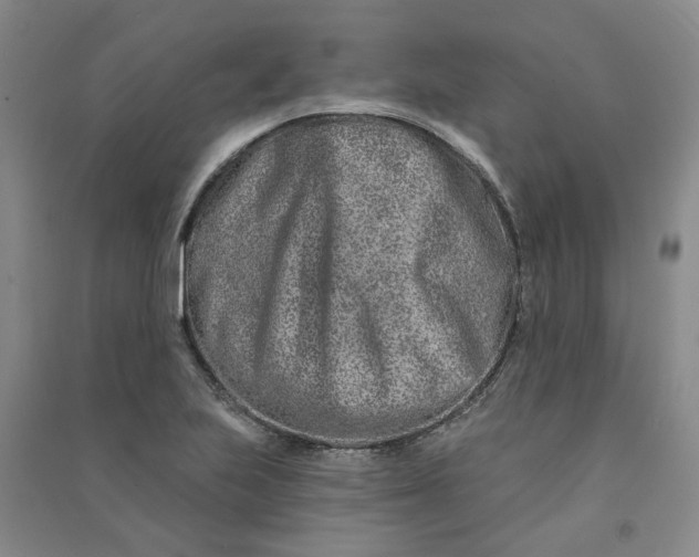 X0000090871223200708171619