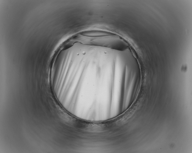 X0000090871224200708171619