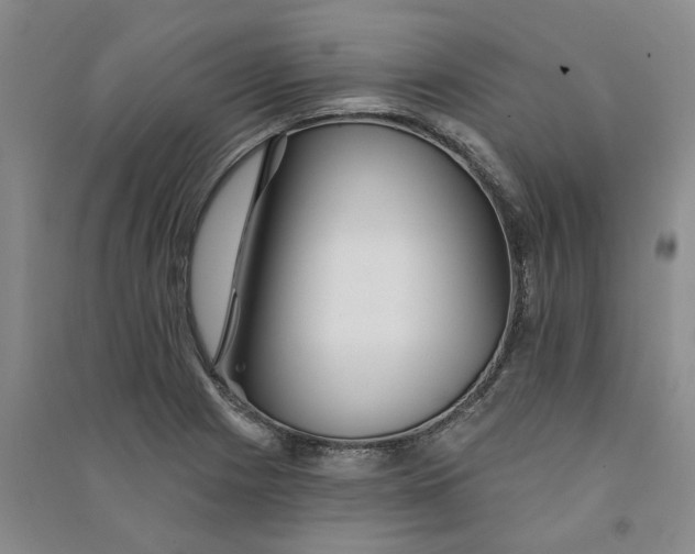 X0000090871225200708171619