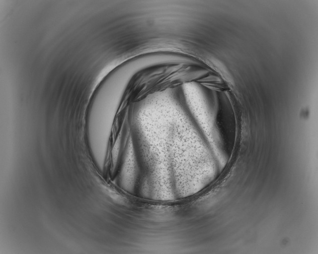 X0000090871226200708171619