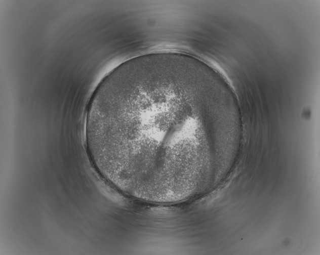 X0000090871227200708171619