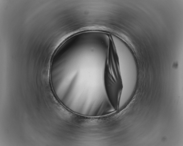 X0000090871228200708171619