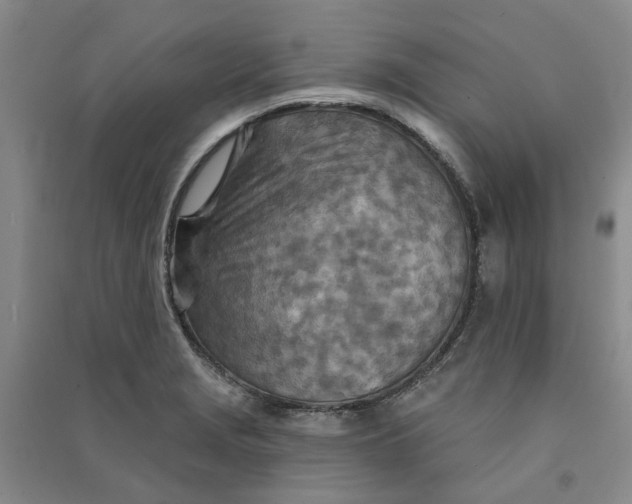 X0000090871229200708171619