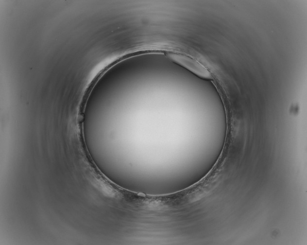 X0000090871230200708171619