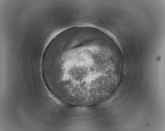 X0000090871231200708171619