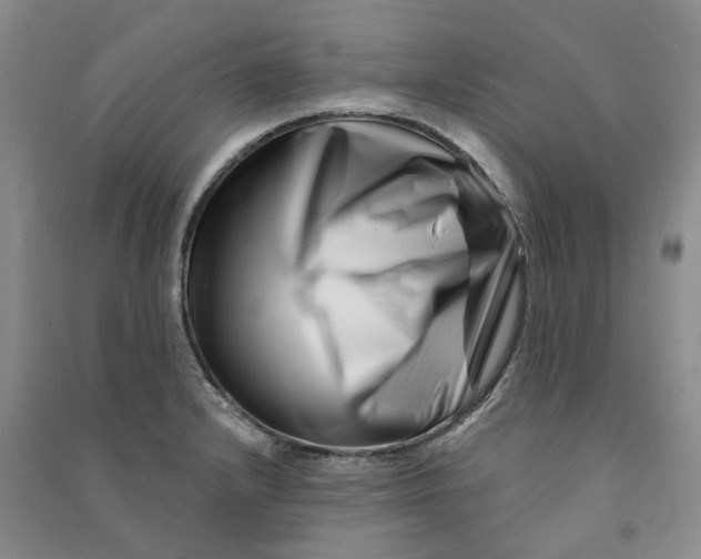 X0000090871232200708171619