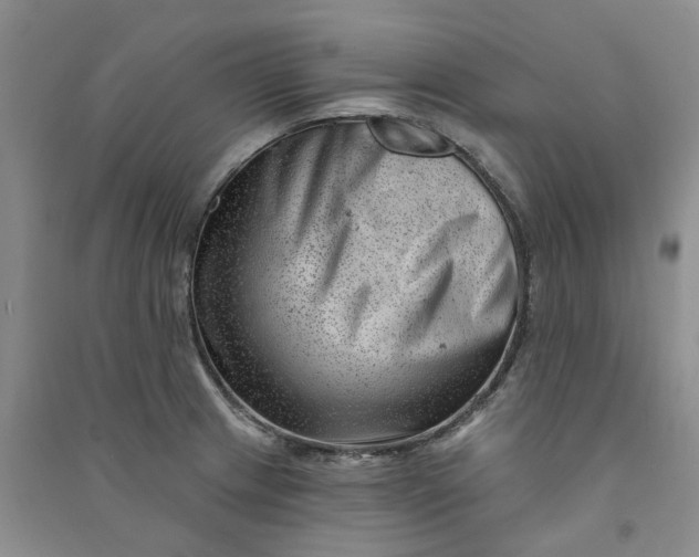 X0000090871233200708171619