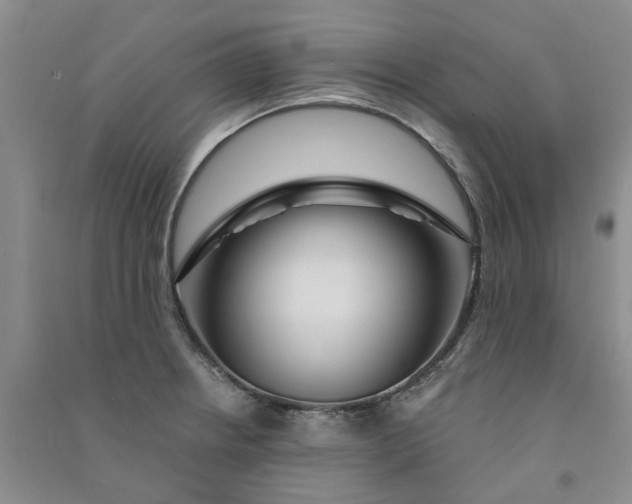 X0000090871234200708171619