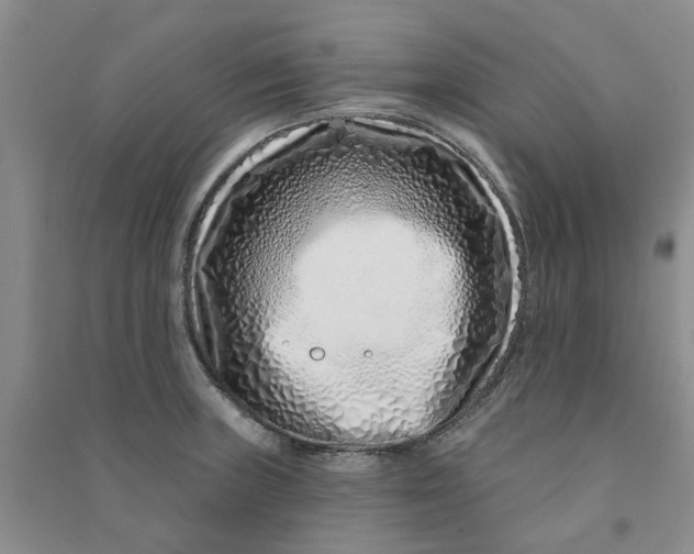 X0000090871235200708171619