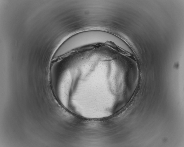 X0000090871236200708171619