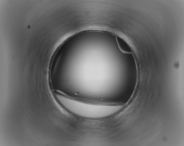 X0000090871237200708171619