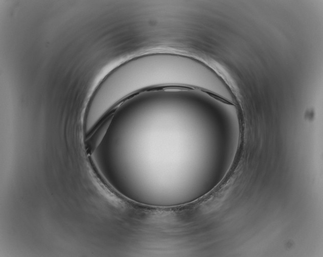 X0000090871238200708171619