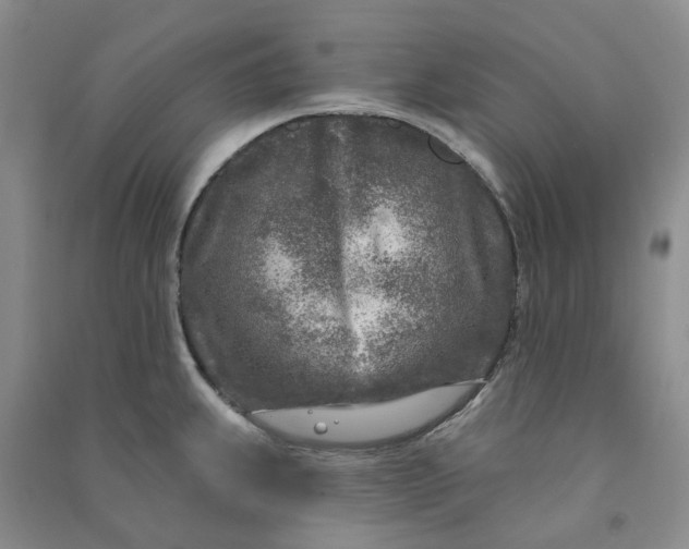 X0000090871239200708171619