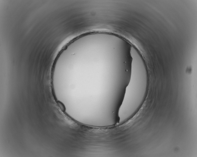 X0000090871240200708171619