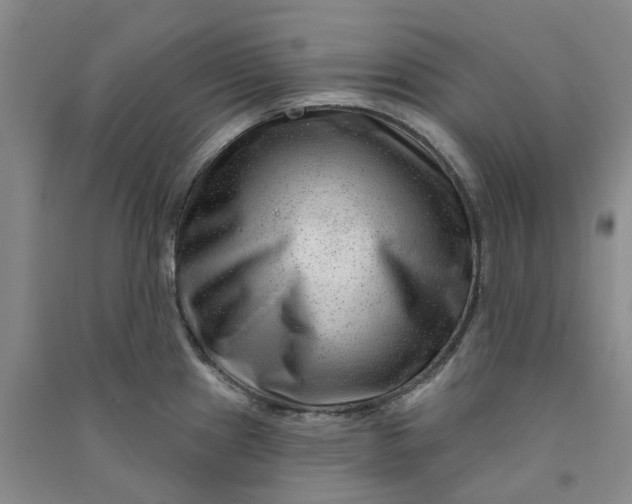 X0000090871241200708171619