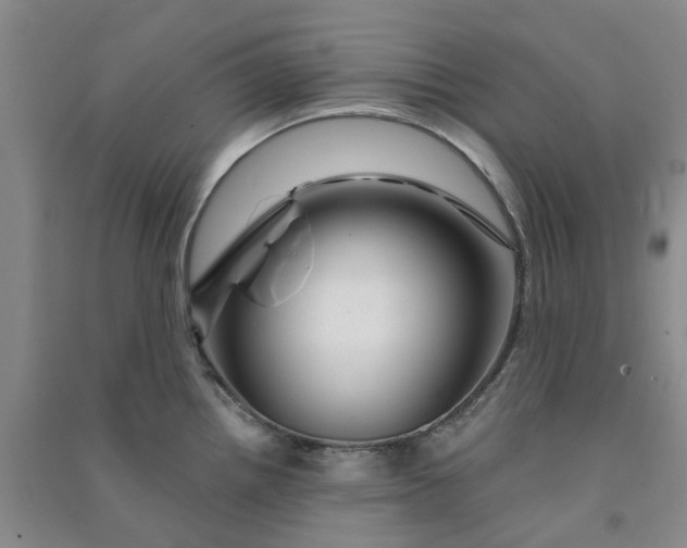 X0000090871242200708171619