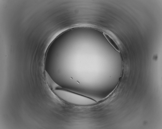 X0000090871244200708171619