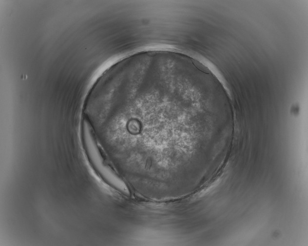 X0000090871245200708171619