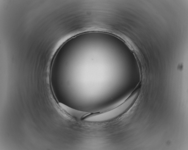 X0000090871246200708171619