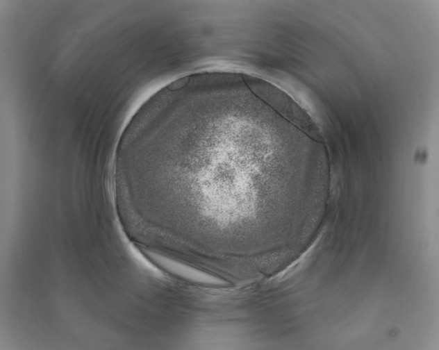 X0000090871247200708171619