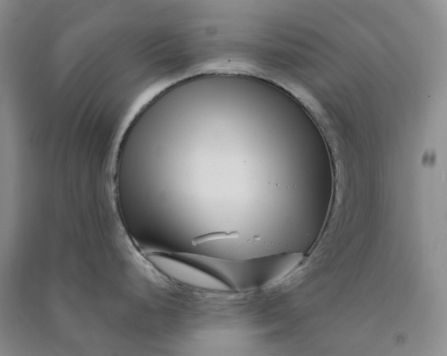 X0000090871248200708171619