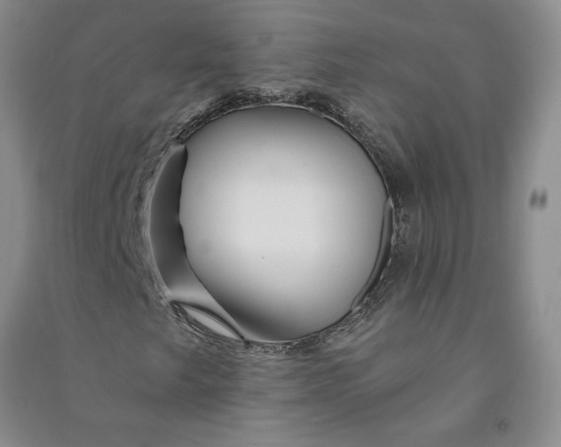 X0000090871249200708171618