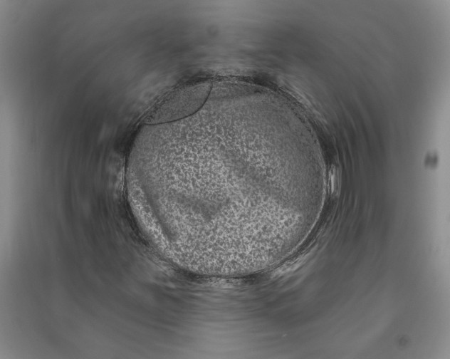 X0000090871251200708171618