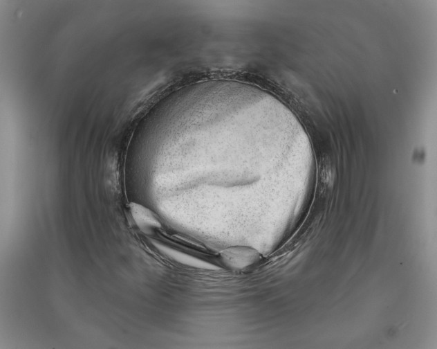 X0000090871252200708171618