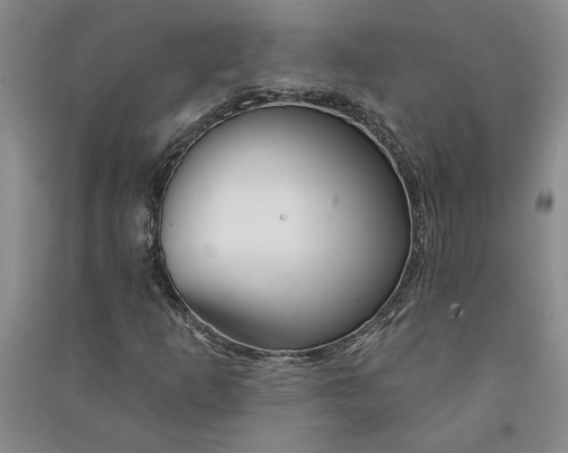 X0000090871253200708171618