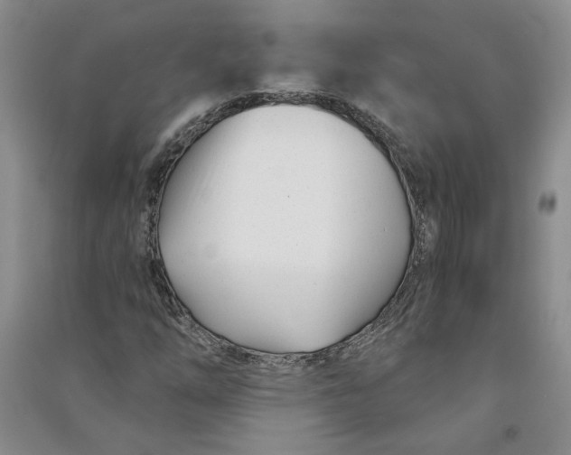 X0000090871254200708171618