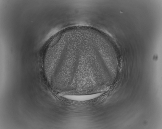 X0000090871255200708171618