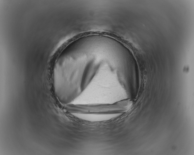 X0000090871256200708171618