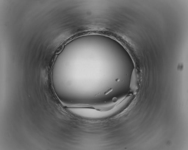 X0000090871257200708171618