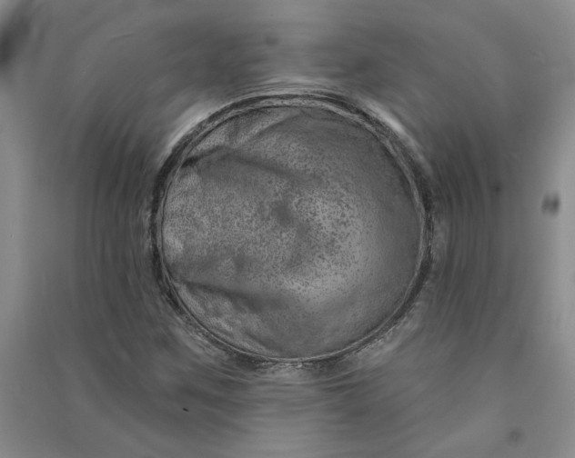 X0000090871259200708171618