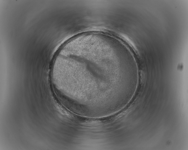 X0000090871260200708171618