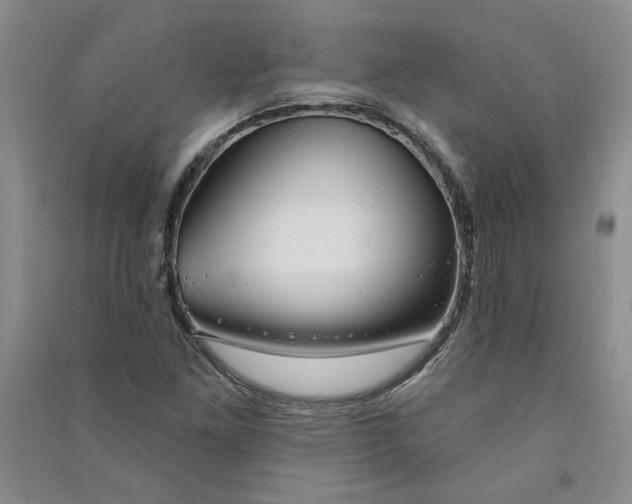 X0000090871261200708171618