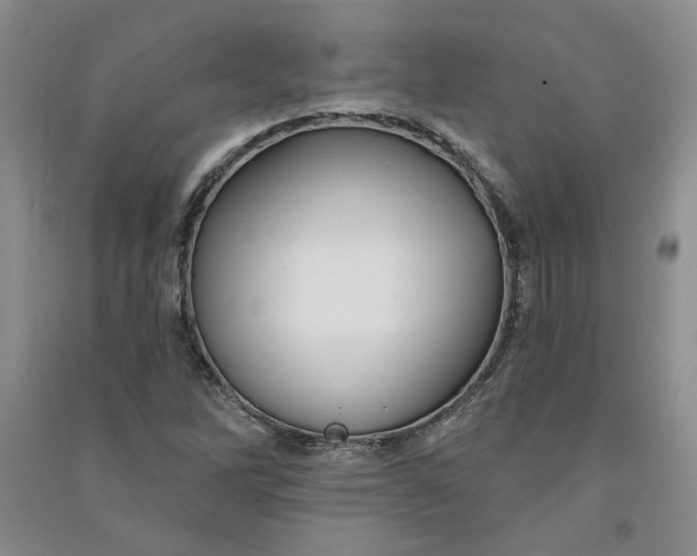 X0000090871262200708171618