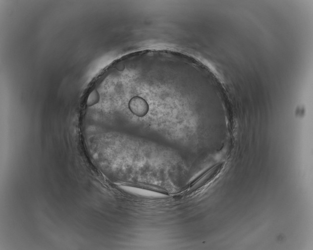 X0000090871263200708171618