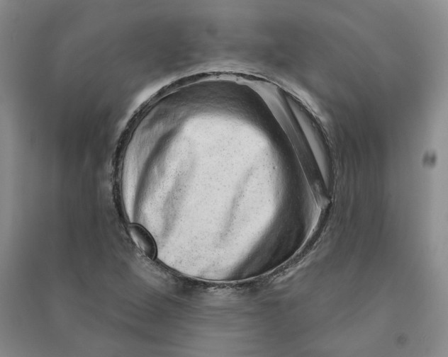 X0000090871264200708171618