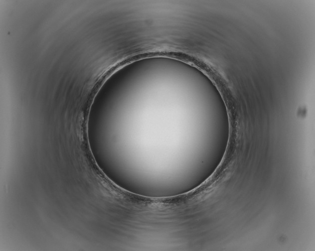 X0000090871265200708171618