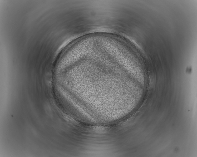 X0000090871266200708171618